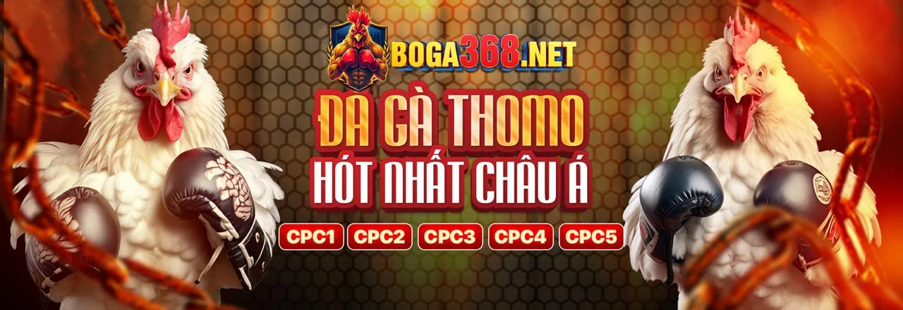 Banner 77 win, đăng nhập nhận 188K